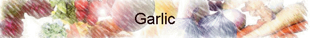 Garlic