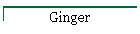 Ginger