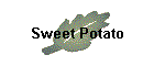 Sweet Potato