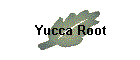 Yucca Root