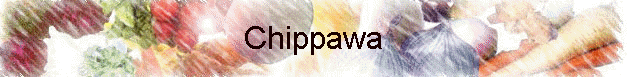 Chippawa