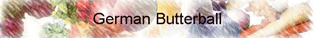 German Butterball