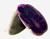 Purple Potato 2.jpg (54703 bytes)