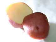 Red Skin Potato Fancy B.jpg (50411 bytes)