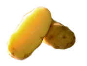 Russian Banana Potato.jpg (39742 bytes)