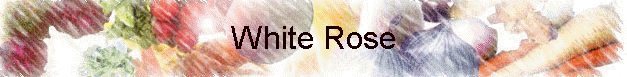 White Rose