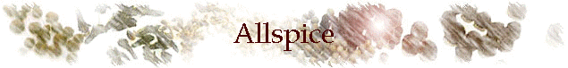 Allspice