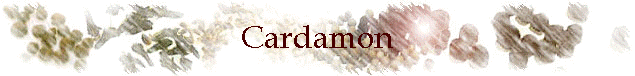 Cardamon