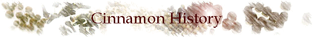 Cinnamon History