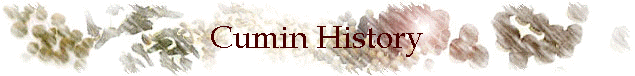 Cumin History