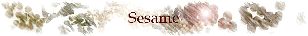 Sesame