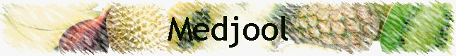 Medjool