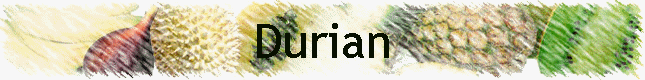 Durian