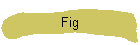 Fig