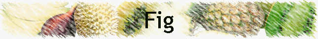 Fig