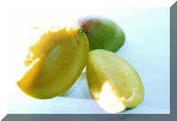 Mango.jpg (89605 bytes)