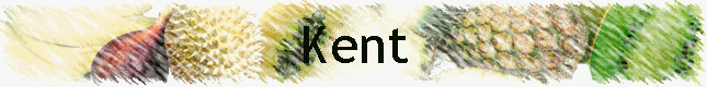 Kent