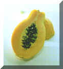 Papaya.jpg (50485 bytes)