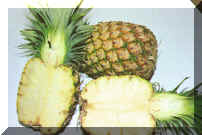 Pineapple.jpg (192564 bytes)