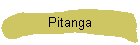 Pitanga