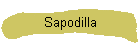 Sapodilla