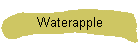 Waterapple