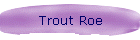 Trout Roe