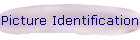 Picture Identification