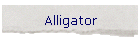 Alligator