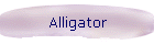 Alligator