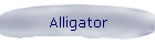 Alligator