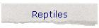 Reptiles