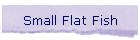 Small Flat Fish
