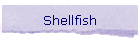 Shellfish