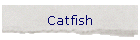 Catfish