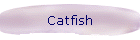 Catfish