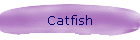 Catfish