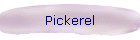 Pickerel
