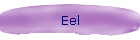 Eel