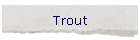 Trout