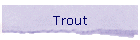 Trout