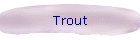 Trout