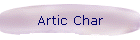 Artic Char