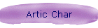 Artic Char