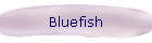 Bluefish