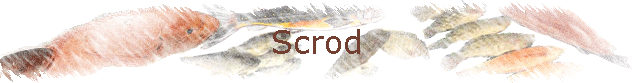 Scrod