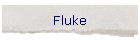 Fluke