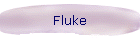 Fluke