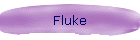 Fluke