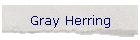 Gray Herring